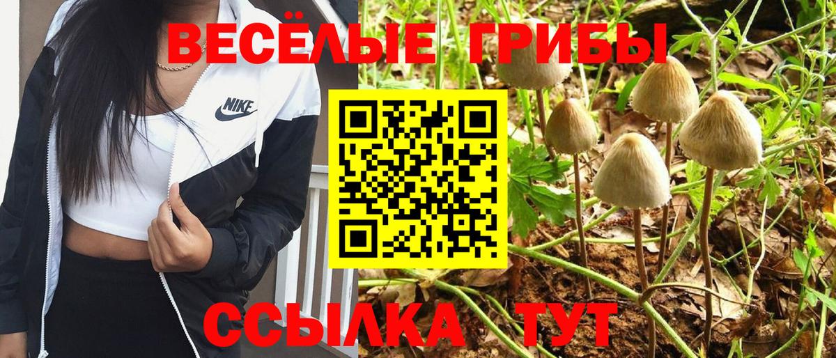 Сызрань  где продают   Вход с VPN  Галлюциногенные грибы прущие грибы 