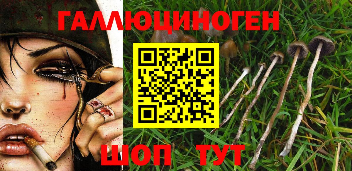 Псилоцибиновые грибы GOLDEN TEACHER Сызрань