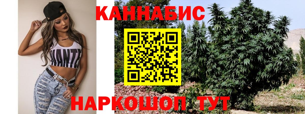 Сызрань  Марихуана тримм  Вход с VPN  Канабис конопля  Бошки марихуана SATIVA & INDICA  Конопля семена 